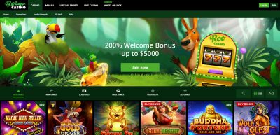 Roo Casino Detailed Review